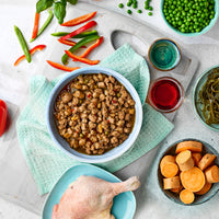 Pack Prueba Perro Grain & Gluten Free | 6 Latas