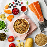 Mini Salmón con Arroz y Vegetales | Perro Adulto