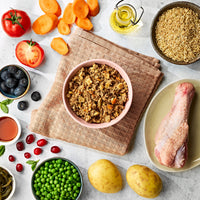 Mini Pavo con Arroz y Vegetales | Perro Senior
