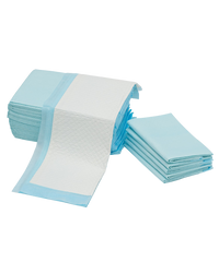 Pads Regulares - 12 / 30 Unidades